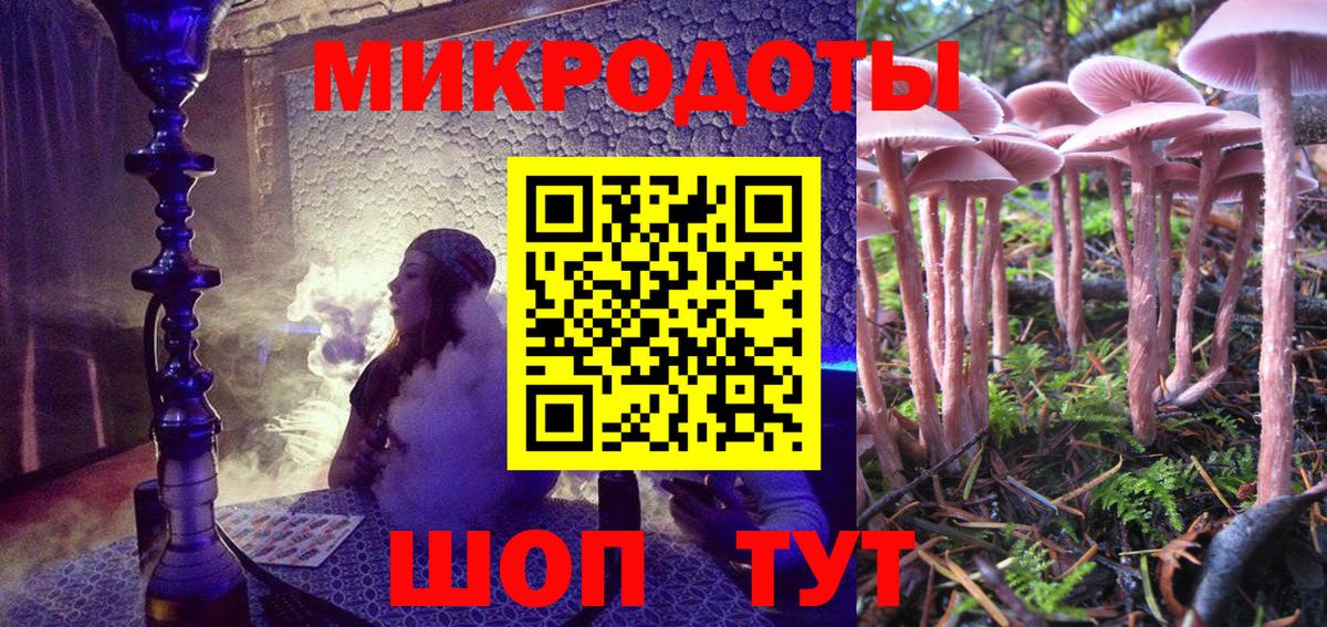 Галлюциногенные грибы Psilocybine cubensis Новочебоксарск