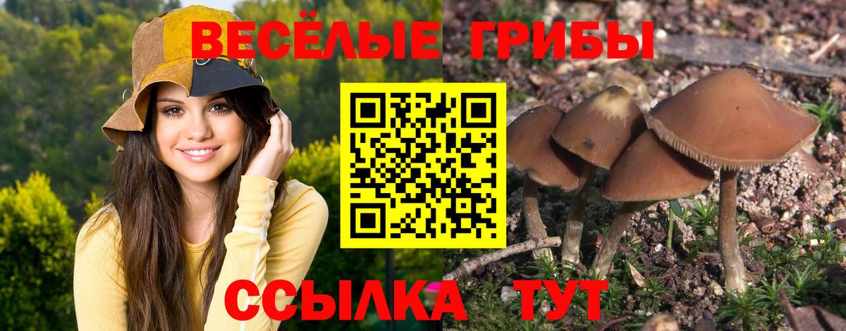 Галлюциногенные грибы мицелий  цена   Новочебоксарск  Вход с VPN 